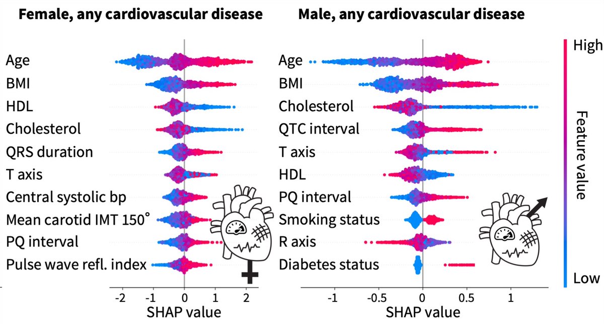 Can you believe that females are 2x more under-diagnosed for heart disease than males? Check out the new study of more than 20K participants by <a href="/skyler_stpierre/">Skyler St. Pierre (he/they)</a>, Bartek, and <a href="/MPeirlinck/">Mathias Peirlinck</a> on sex-specific cardiovascular risk factors in the <a href="/uk_biobank/">UK Biobank</a>!
 medrxiv.org/content/10.110…