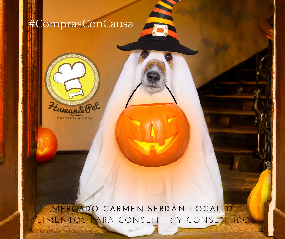 Human&Pet Alimentos tweet media
