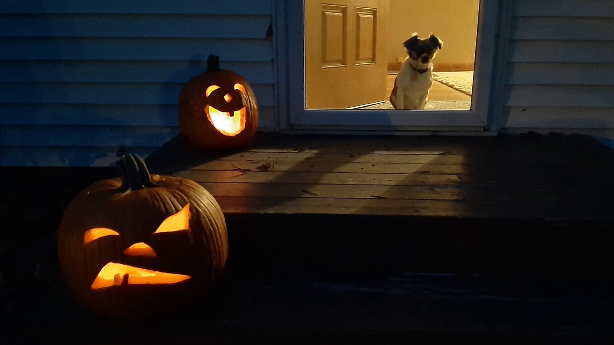 JacMSherry's tweet photo. Last night on the stoop. They go in the leaf pick up pile tomorrow. https://t.co/X8u17lYu3D