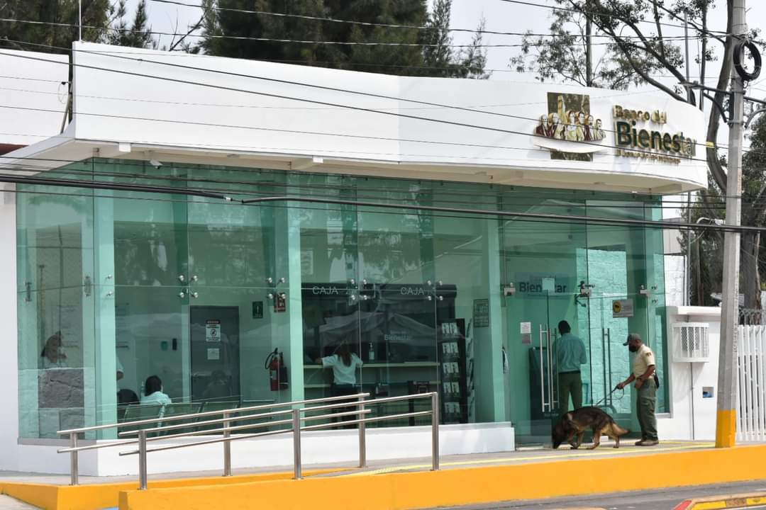 apoyosbienestar's tweet photo. 🏦 El @bbienestarmx, que cuenta con más de 2,300 sucursales operativas, llega a prácticamente todo el país. Esto es esencial, pues permite que adultos mayores y personas con discapacidad no tengan que desplazarse grandes distancias. 

➡️ https://t.co/oIYhMG3590 https://t.co/BuSTr0ANjm