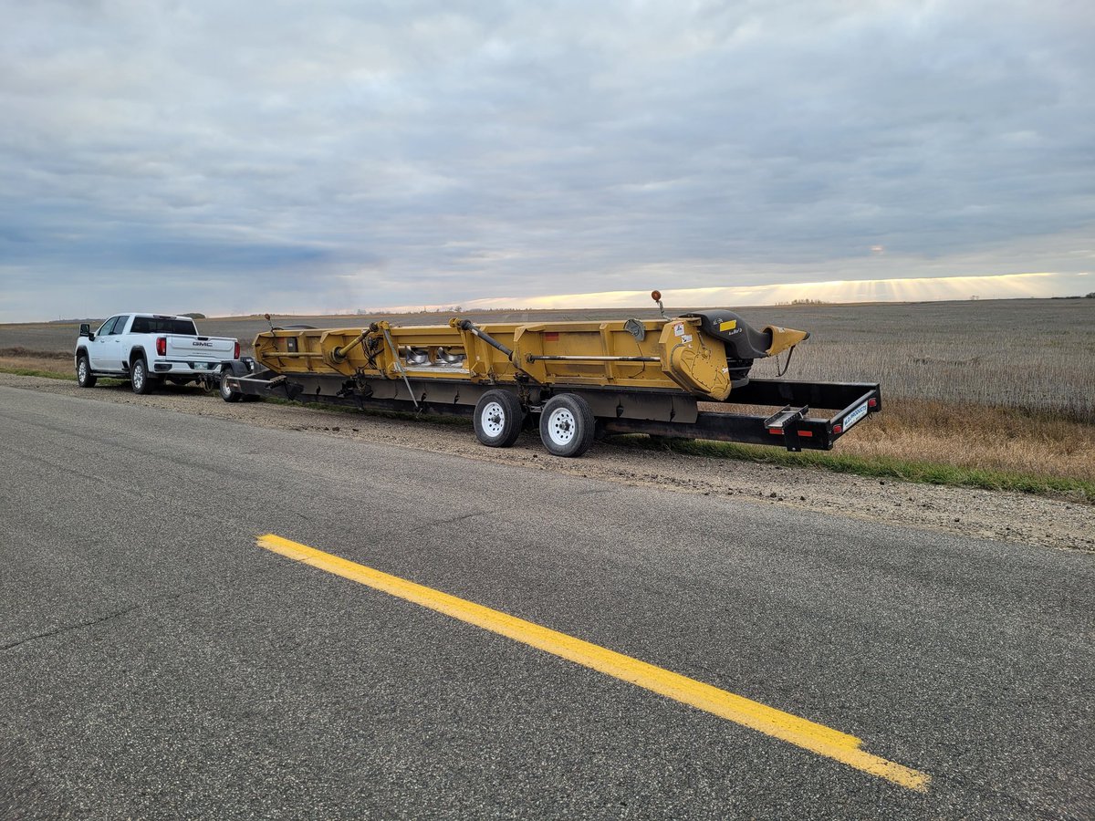 Kendal Roehle tweet media