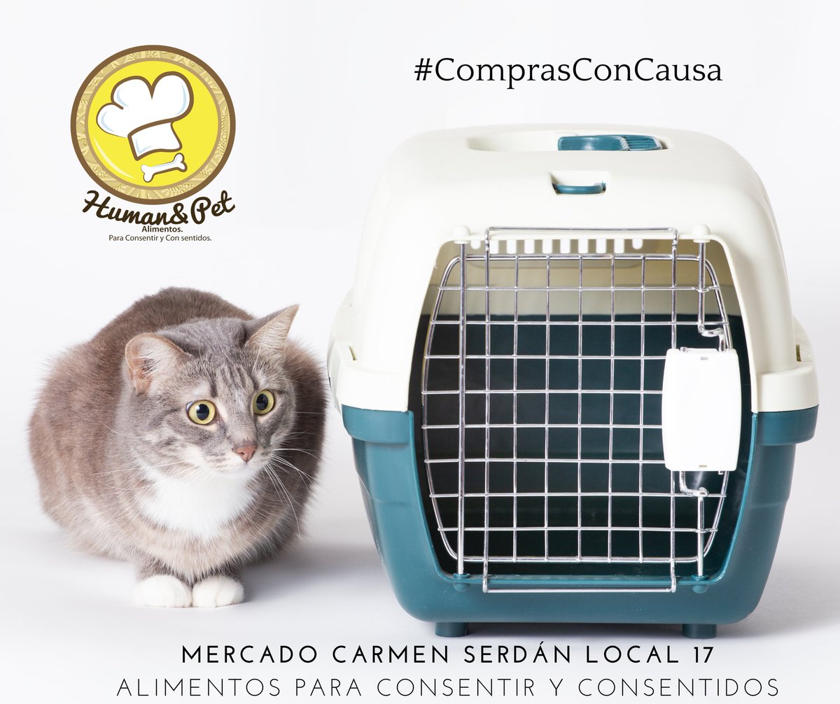 Graphos Comunicación Creativa tweet media