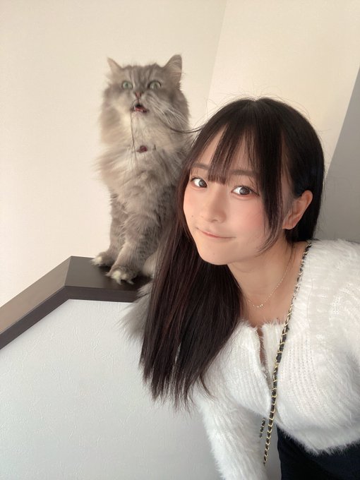 花咲心菜のTwitter画像17