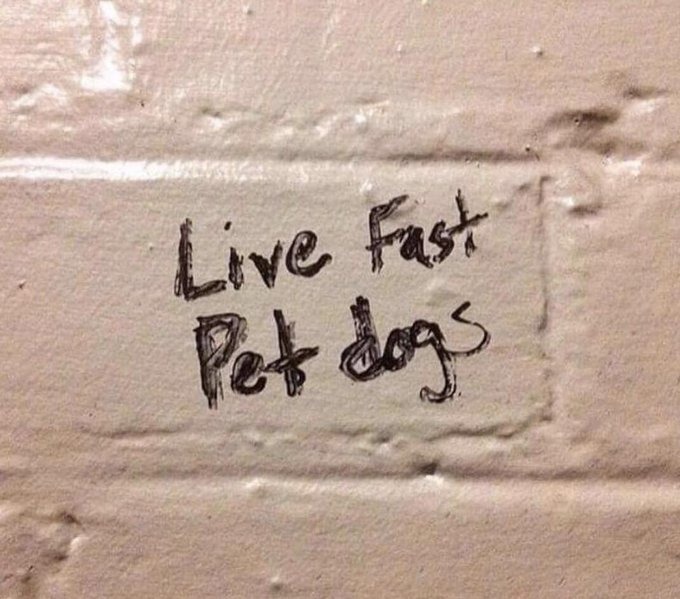 ThatEricAlper's tweet image. 