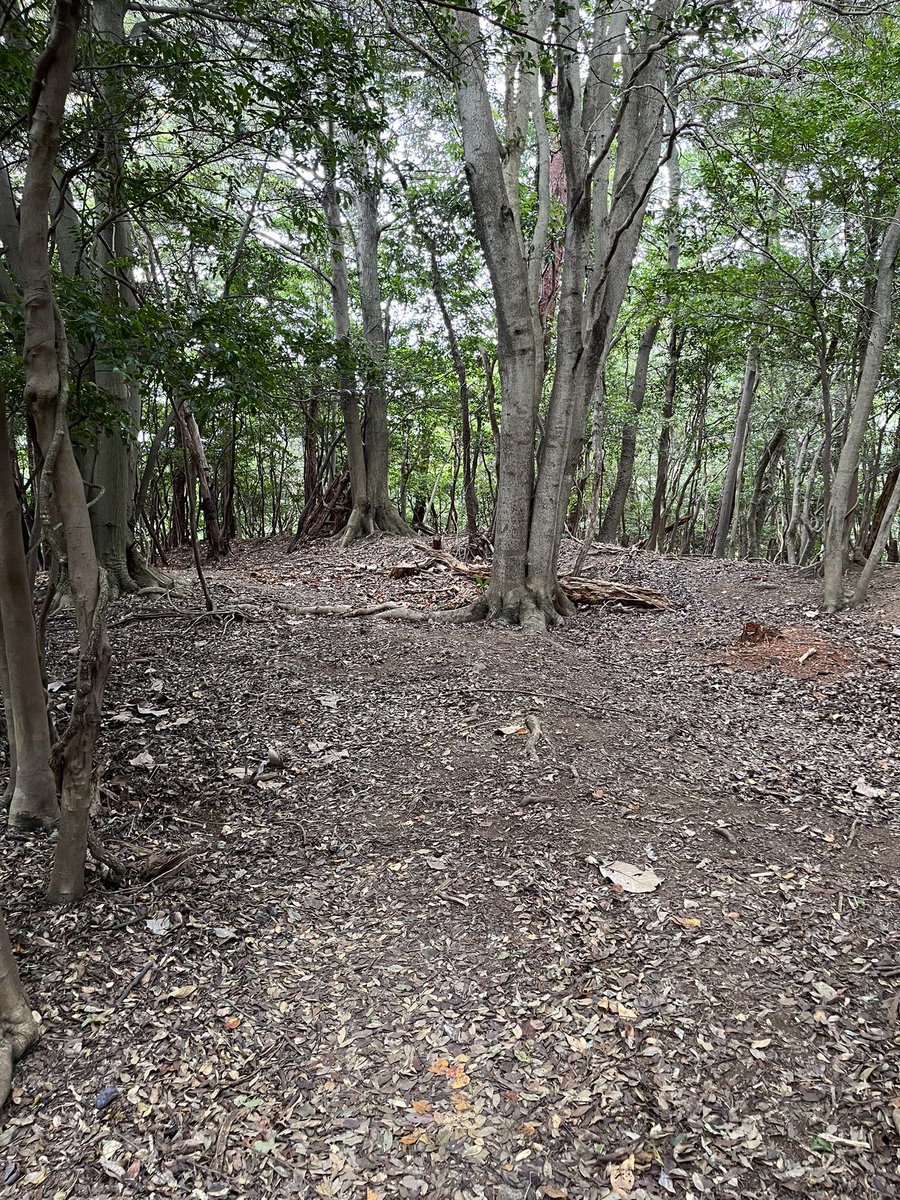 コウ☮︎Bushcrafter tweet media