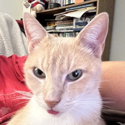 Melkonkel's tweet photo. #NewProfilePic https://t.co/rMPCDJch6H