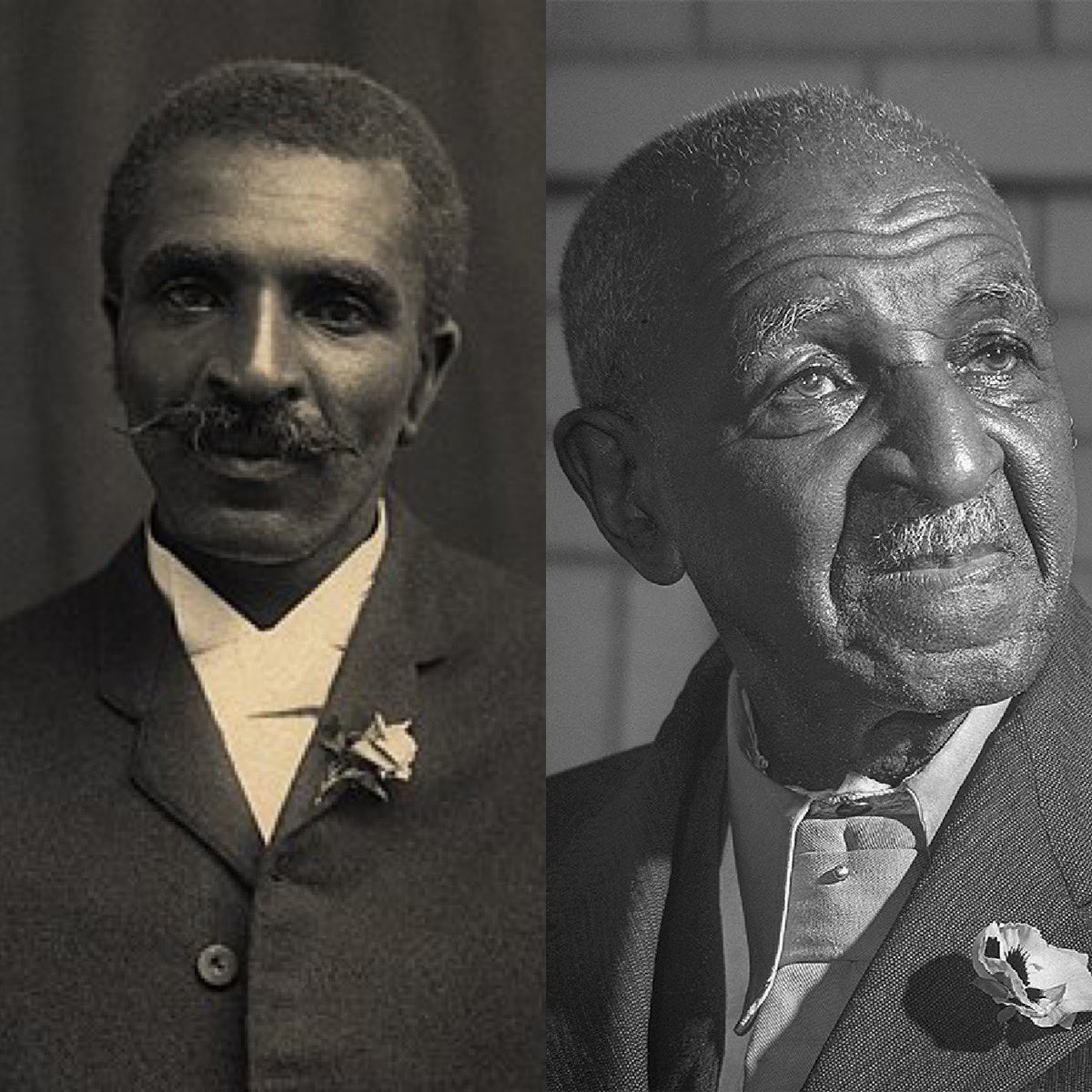 George Washington Carver faced adversity from birth. Born around 1864, he lost his father just before his birth, and soon after, he and his mother were kidnapped by slave traders. George was recovered, but tragically, his mother remained lost. As an infant, he was left an orphan.