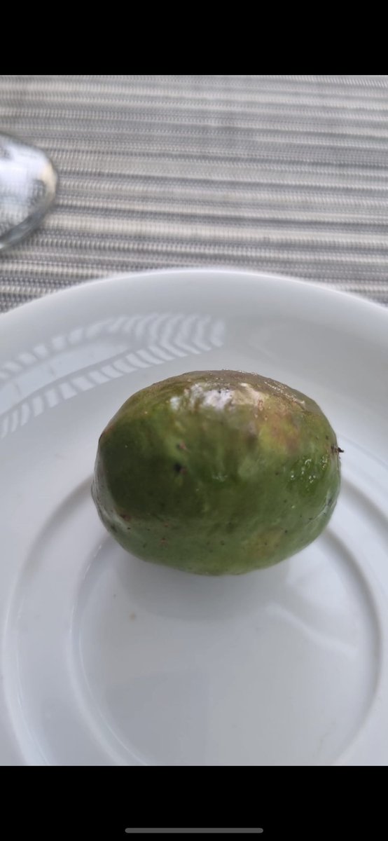 Guess the fruit? 👀 (its not lime)