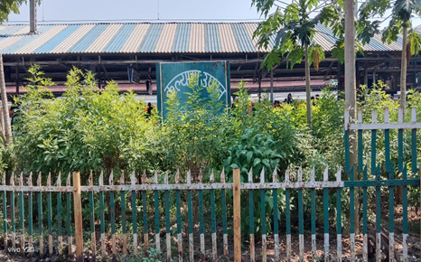 drmmumbaicr's tweet photo. The #Mumbai_Division @Central_Railway gardens, which are kept near the platform, are among the city's most beautiful vistas. These #gardens are a tribute to the passion and commitment of the #Rly_workers, who put in endless hours to turn the busy city into a greener sanctuary. https://t.co/16FxQnvKHo