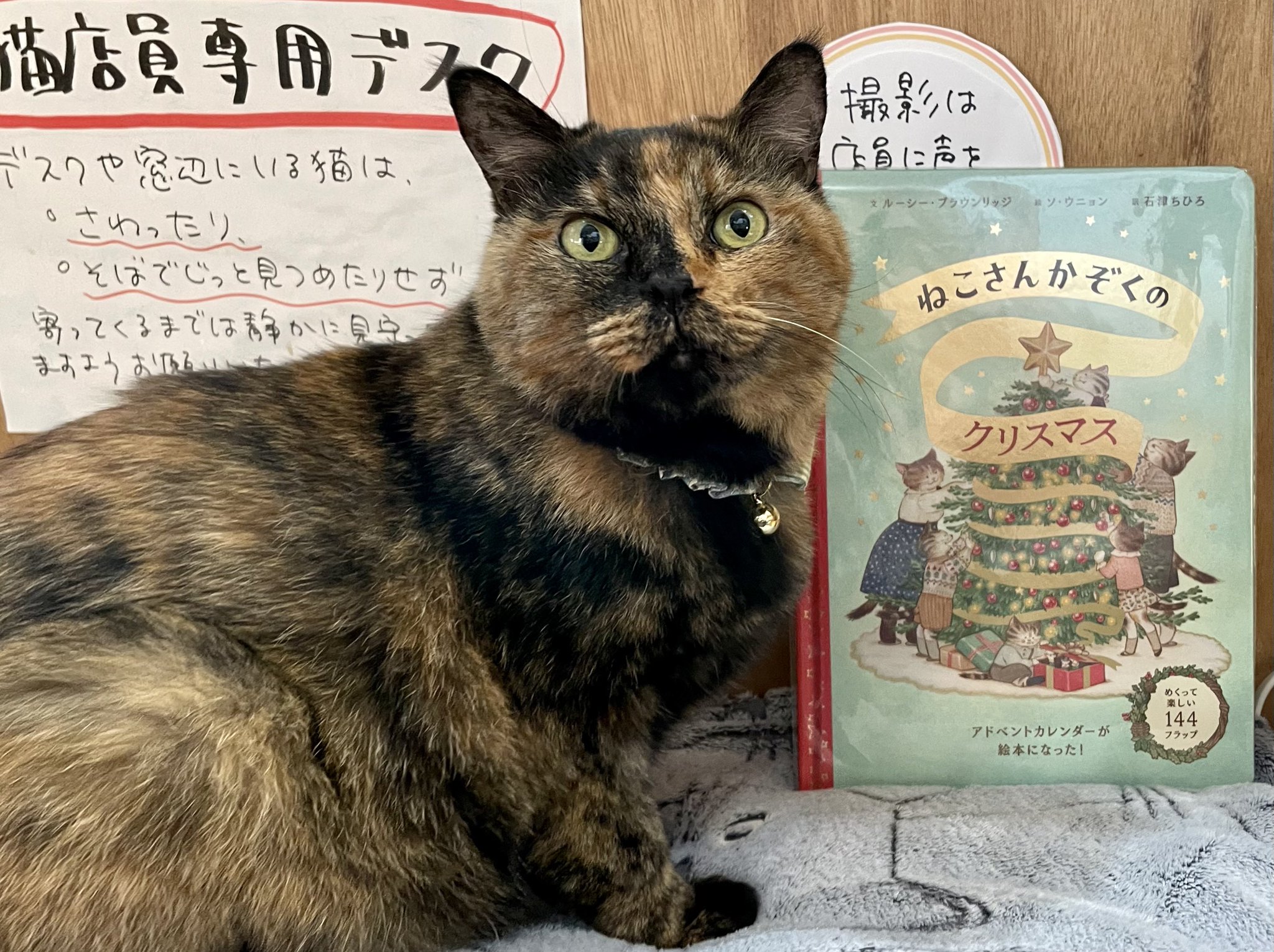 🗓お知らせ🐈 夜は猫といっしょ 4月始まり 2023 CALENDARが発売