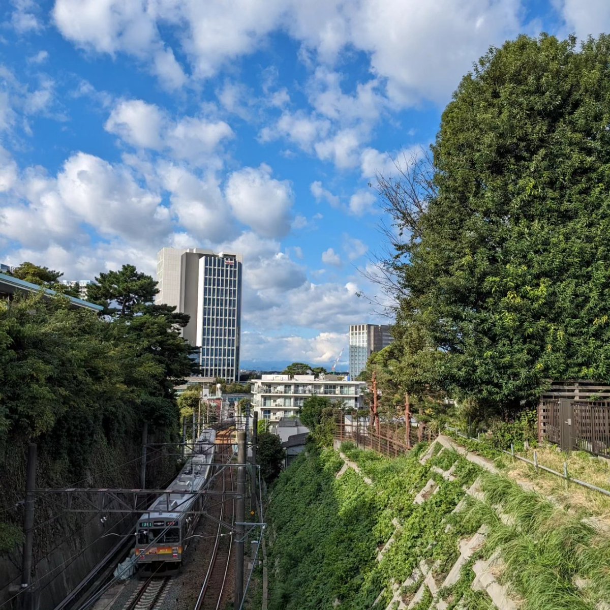 yasashisa69's tweet photo. 【ジョグ鉄】昨日実施。詳細はリンク参照
#大井町線 #田園都市線 #こどもの国線 #ジョグ鉄 #走り鉄 #鉄ラン #鉄道修行 #鉄道趣味 #鉄ちゃん #鉄分補給 #鉄オタ #ハードコア鉄 #ジョギング #jogging #LSDrunning #runtastic #adidasrunning #ハシリマスタグラム #igランナーズ
https://t.co/oYDnoXBAx7 https://t.co/Qun118mDt2