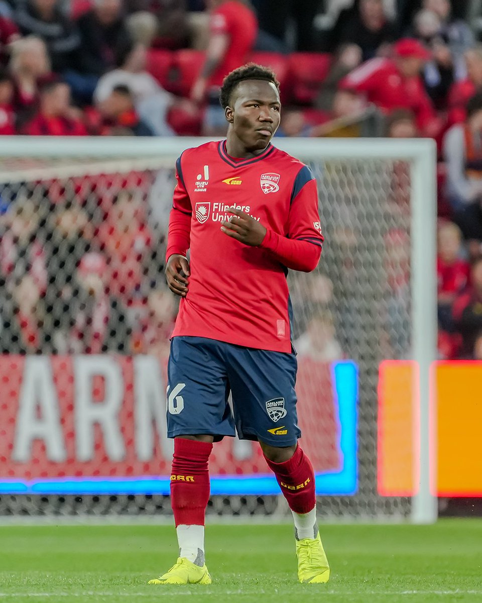 Adelaide United tweet media