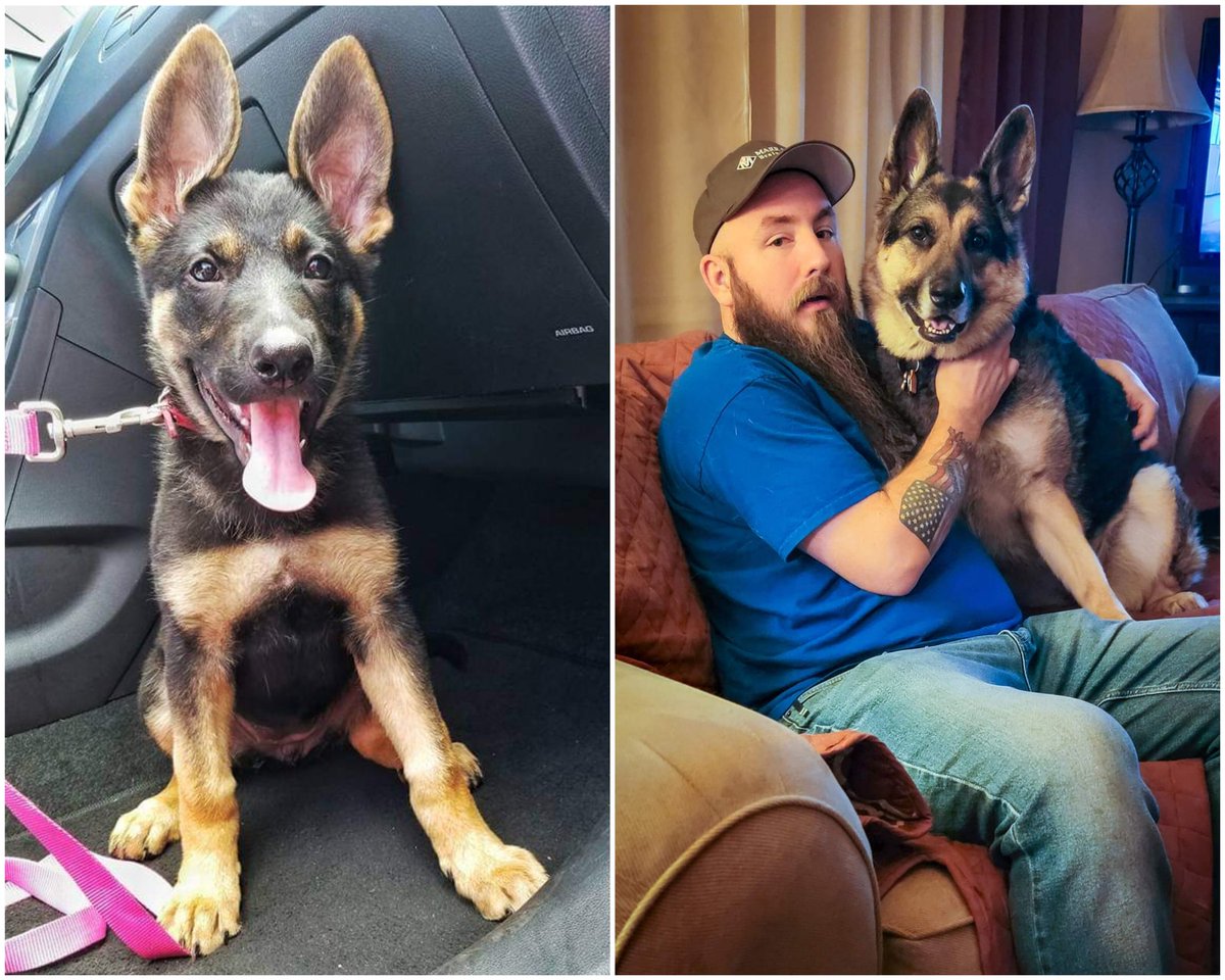 Kevin Wiles, Jr tweet media