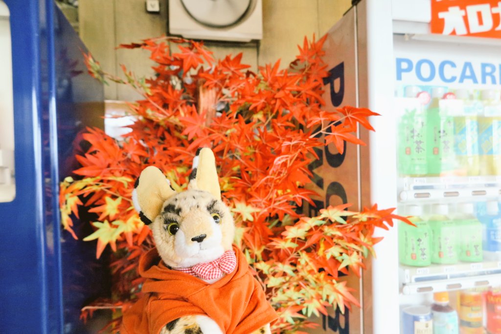 あさーバル（中の人） tweet media