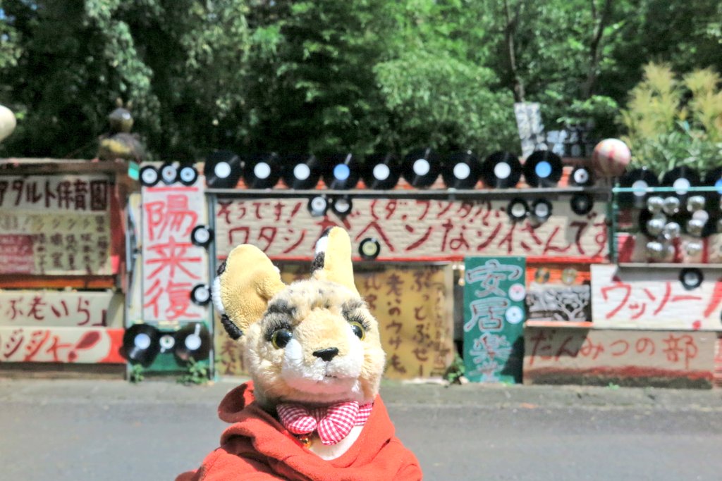 あさーバル（中の人） tweet media