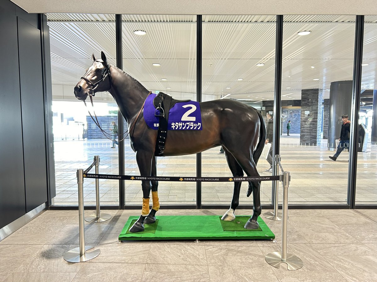 2015年の勝ち馬もいらっしゃいます🤗 #京都競馬場 #菊花賞 #キタサン