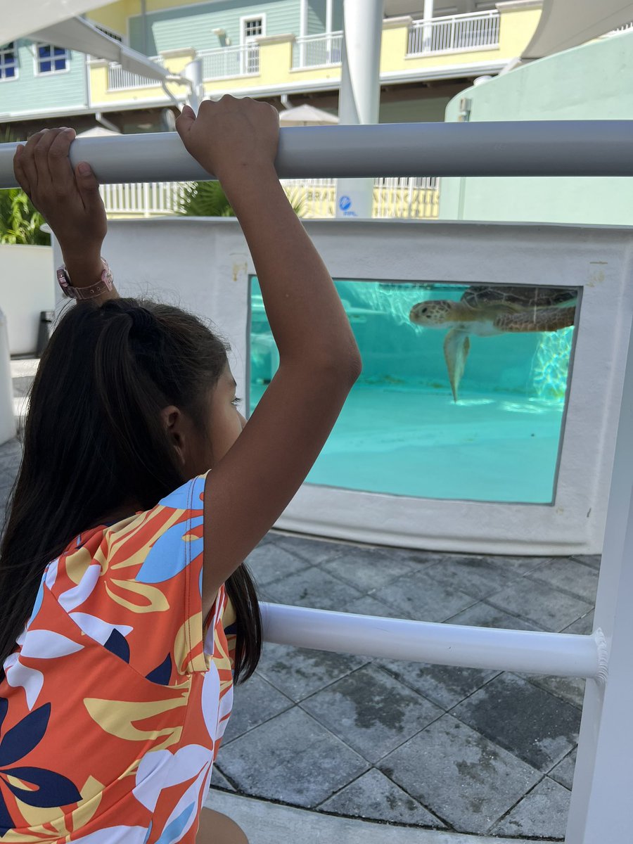 Palm Beach MEP tweet media