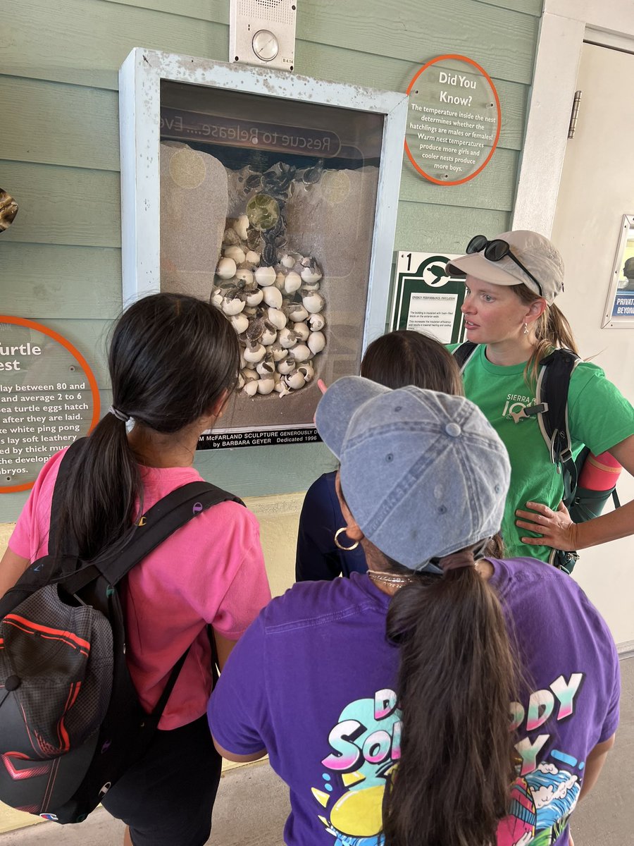 Palm Beach MEP tweet media