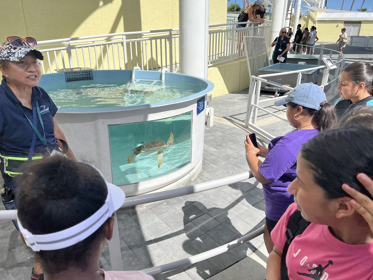 Palm Beach MEP tweet media