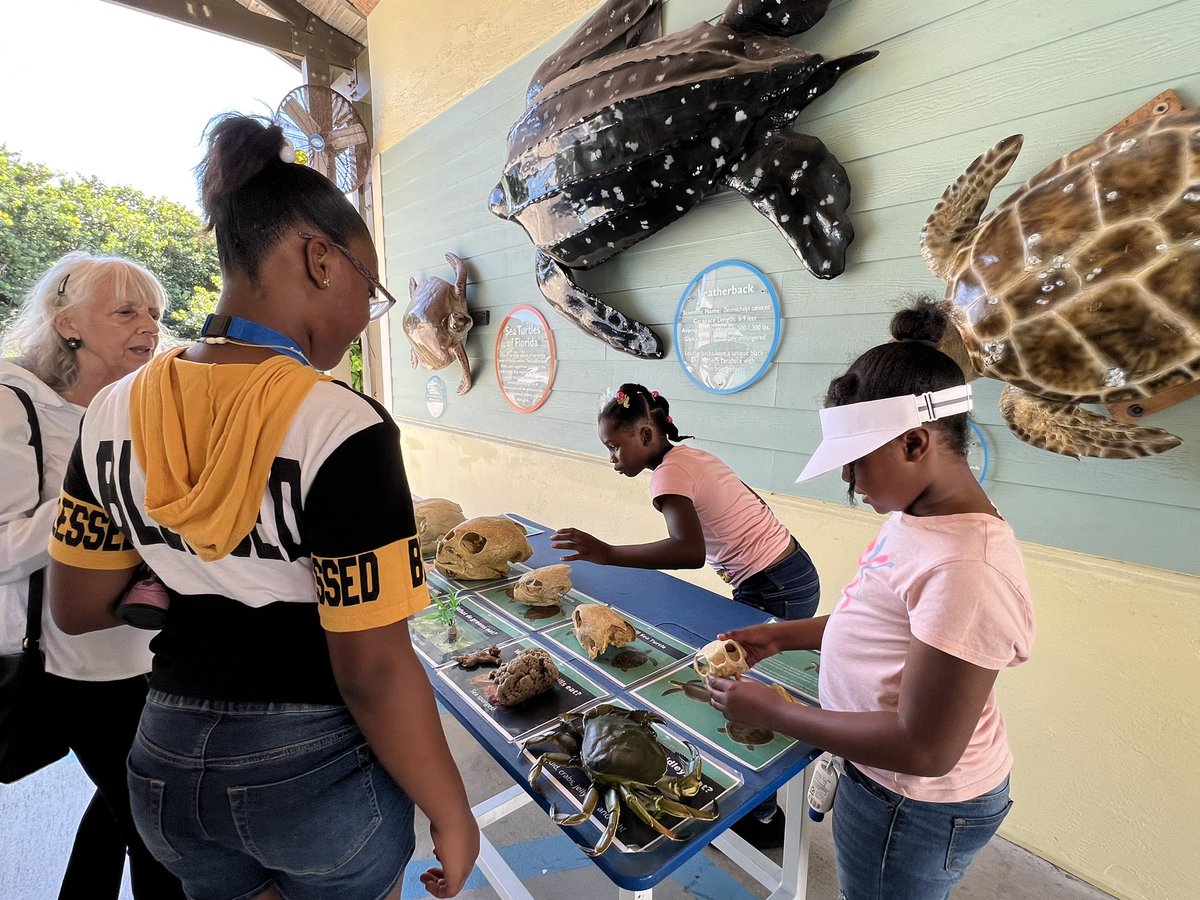 Palm Beach MEP (@palmbeachmep) on Twitter photo Our migrant students visited the <a href="/LoggerheadMC/">Loggerhead Marinelife Center</a> with the <a href="/SierraClubFL/">Sierra Club Florida</a> and learned about their conservation efforts. Our migrant students visited the <a href="/LoggerheadMC/">Loggerhead Marinelife Center</a> with the <a href="/SierraClubFL/">Sierra Club Florida</a> and learned about their conservation efforts.
