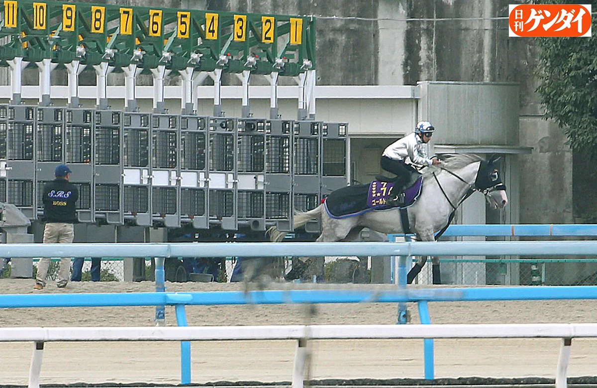 日刊ゲンダイ 競馬 on X: 