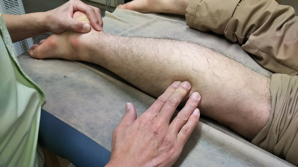 baucafe's tweet image. 本日は触察ベーシック２セミナー第４回が開催されます。腓腹筋、ヒラメ筋、後脛骨筋、長趾屈筋、長母趾屈筋、膝窩筋、足底筋、長腓骨筋、短腓骨筋の９筋を対象に触察実習を行います。#openpath