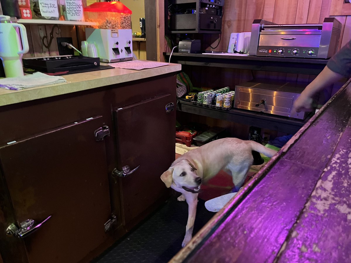 DivesOfWI's tweet photo. Ole’s Tap
Summit, WI
#divesofwi #divebar #olestap #wisconsin #summitwi https://t.co/VOqoNpJbOf