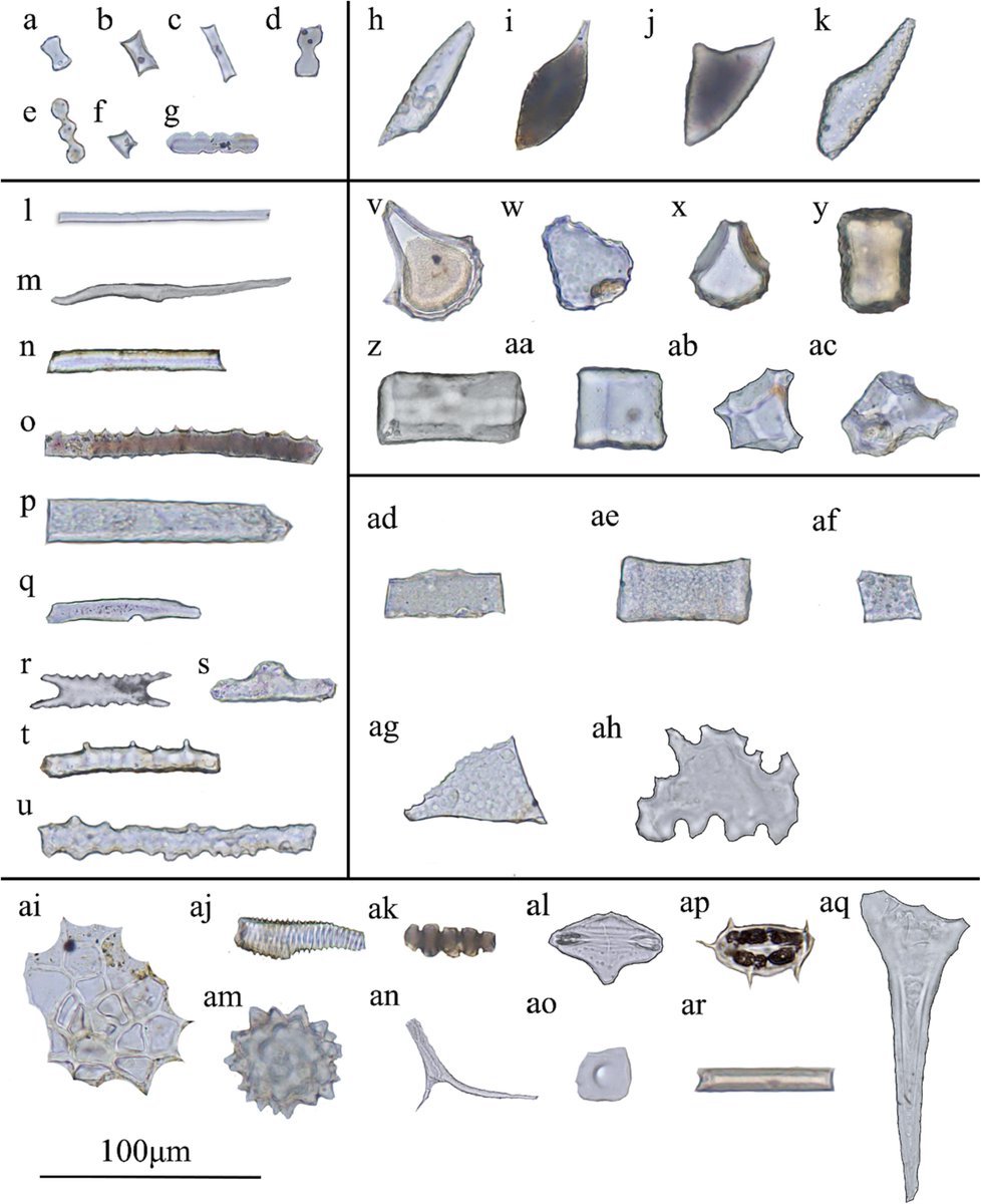 AsiaPaleofloras's tweet photo. #Phytolith-reconstructed #Holocene #vegetation dynamics from a #subalpine #peat deposit in the mid-#subtropical zone of #China
https://t.co/zCDm0rMRKq https://t.co/73AUwH9yJu