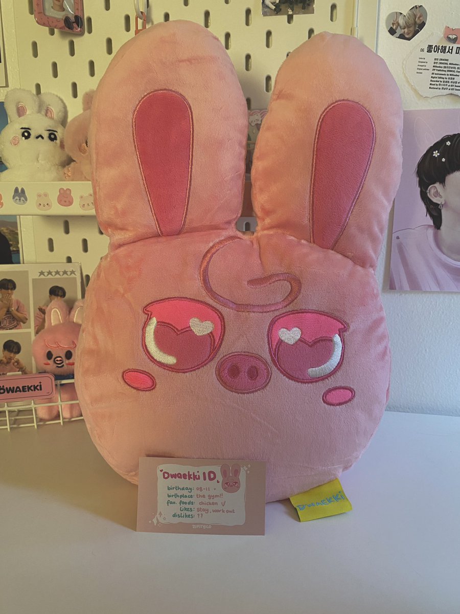 LOOK WHO CAME HOME TODAYYYY dwaekki is the cutest and so soft and huggable 😭💗 thank you soooo much i love it <3 <a href="/zimtyco/">cin’s small happiness🦋</a>