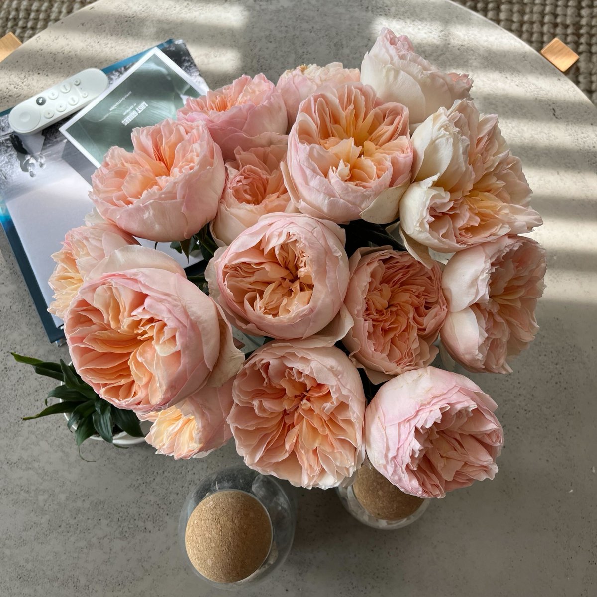 David Austin Roses are beautiful, lush roses that bloom before your eyes. Remember to shop David Austin roses now to experience for yourself. While supplies last! 

bouqs.com/flowers/david-…