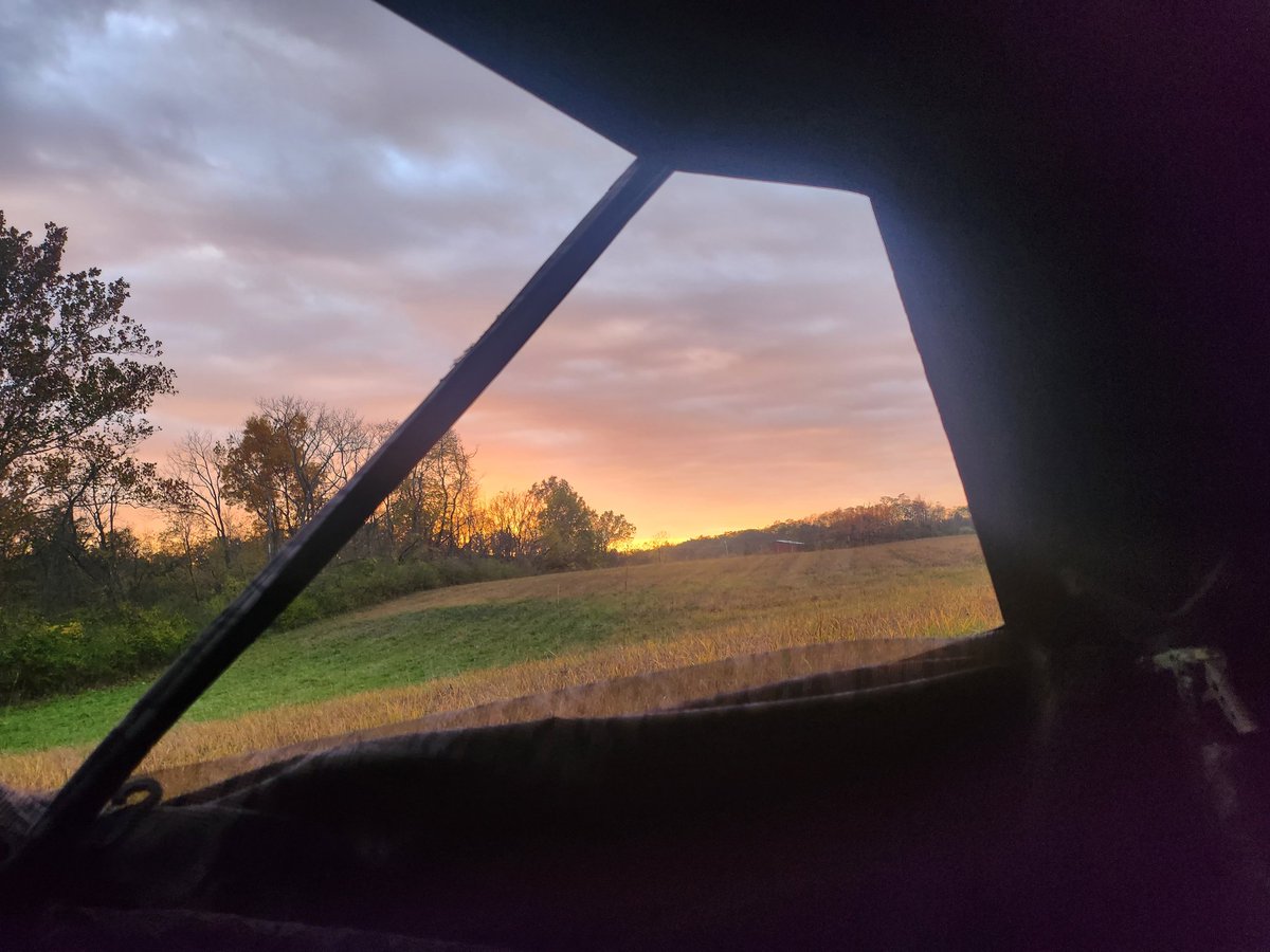 #huntingohio #ohiohunting #deerseason #fromfieldtoart #buckeyeacherysupply #tenpoint #Garmin #grimreaperbroadheads