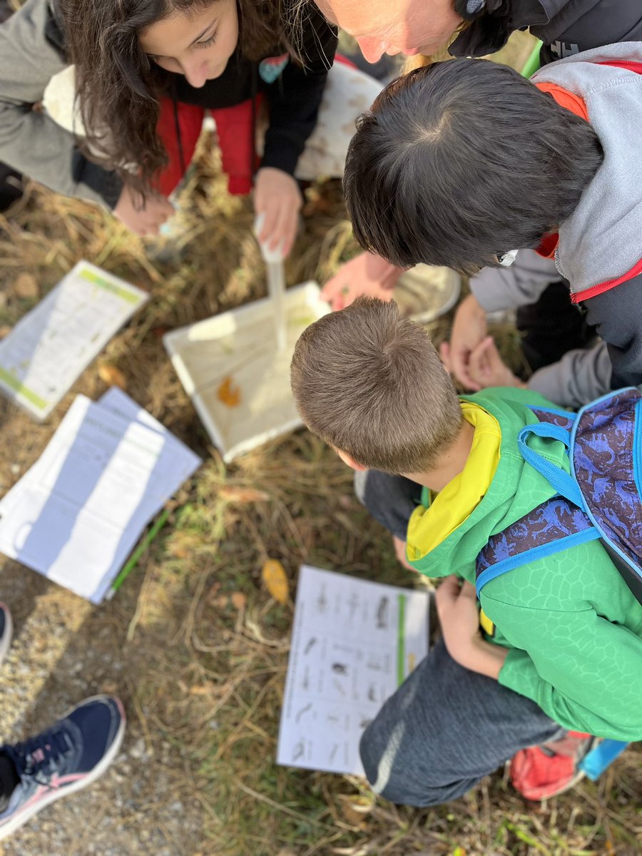 Mrs.Olson tweet media