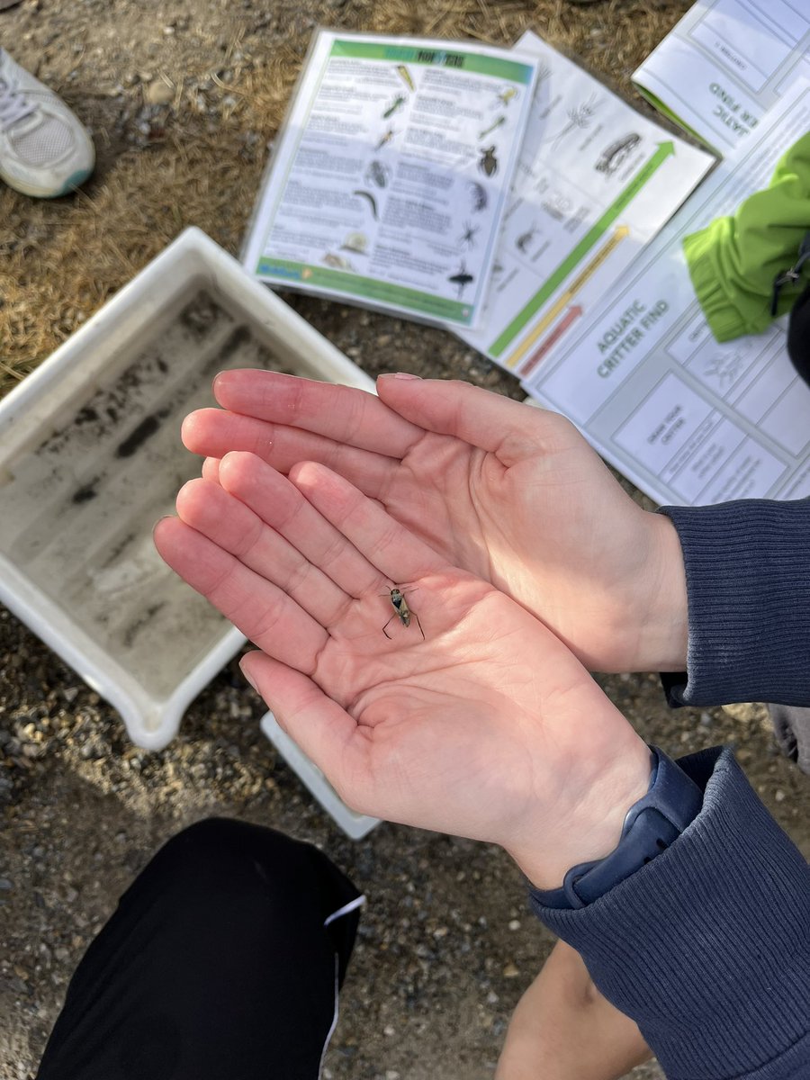 Mrs.Olson tweet media