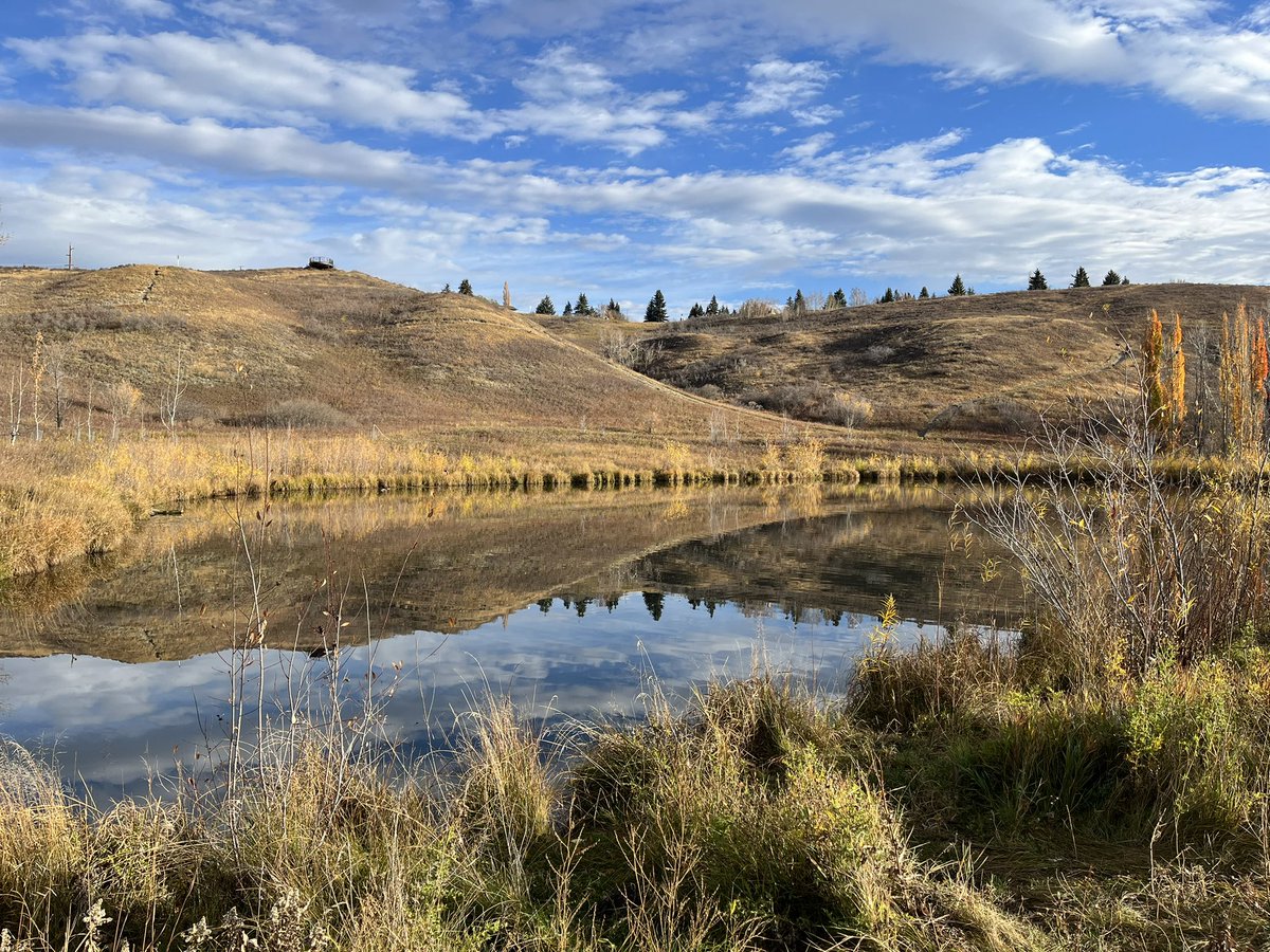 Mrs.Olson tweet media