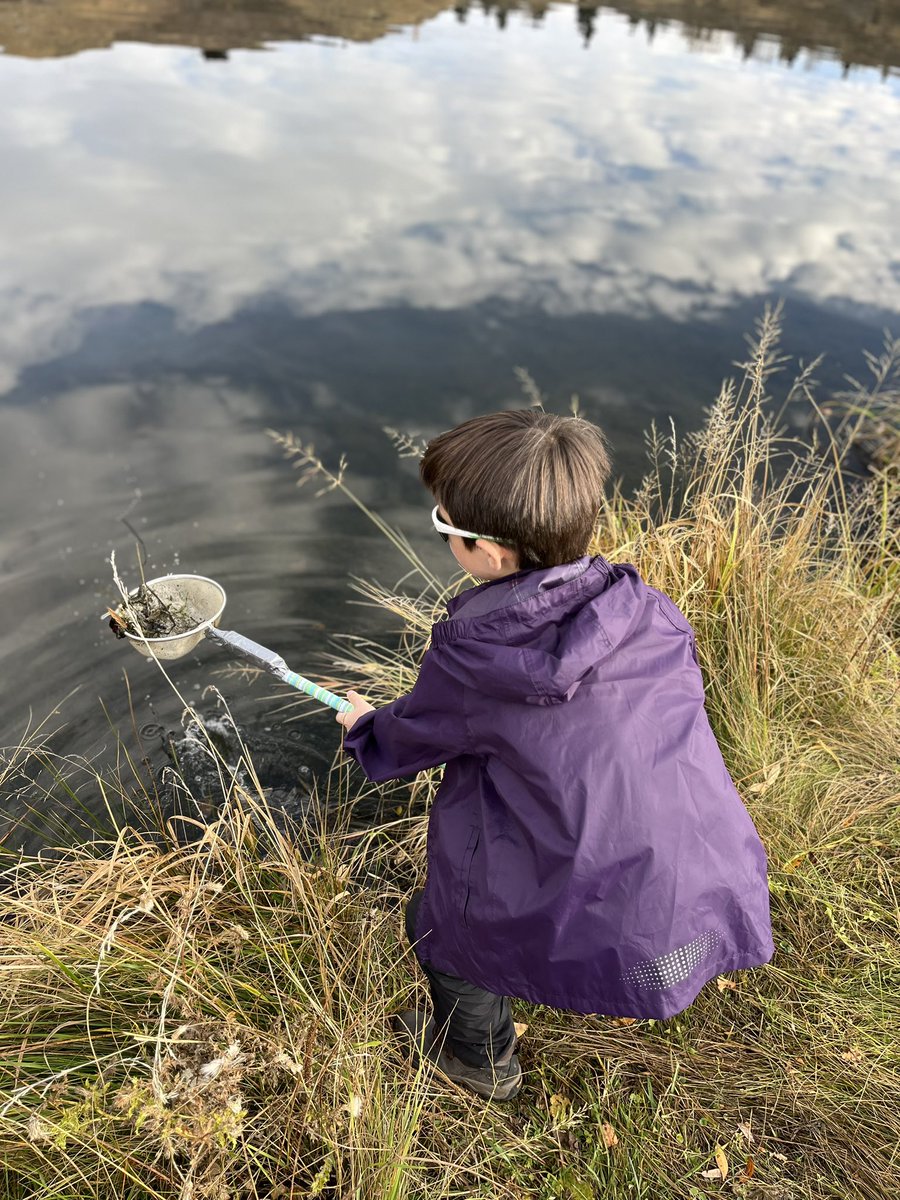 Mrs.Olson tweet media