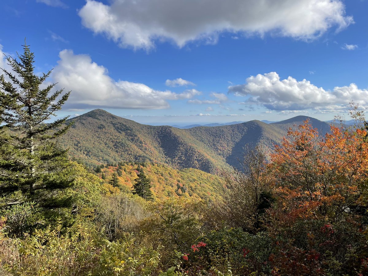 molenariville's tweet photo. Our next trip took us to the highest mountain east of the Mississippi, Mr. Mitchell. We drove along the scenic Blue Ridge Highway until we reached Mt. Mitchell. Beautiful views everywhere, and it smelled wonderful in the Balsam forest. #blueridgeparkway #mtmitchell https://t.co/v9BcDz5NBz