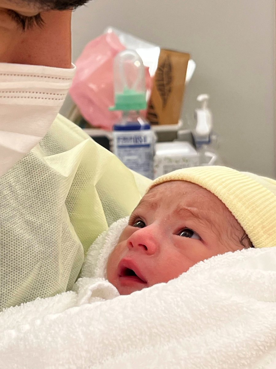 Tolki (🦋 @tolki.dev) tweet media