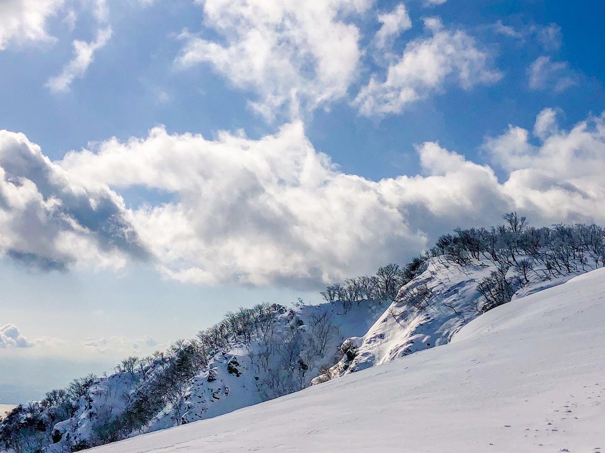 BAKE_cat's tweet photo. 雪山シーズンに備えていたのですが
昨日からまた吐血開始です

今回もすぐに病院へ行かなくて良いかぁ

って思��てます

もうどうしようもないことは諦めなきゃ
って解ってはいるんですが

まだ3月から一歩も先に進めていません https://t.co/kS2ZZAcGSh