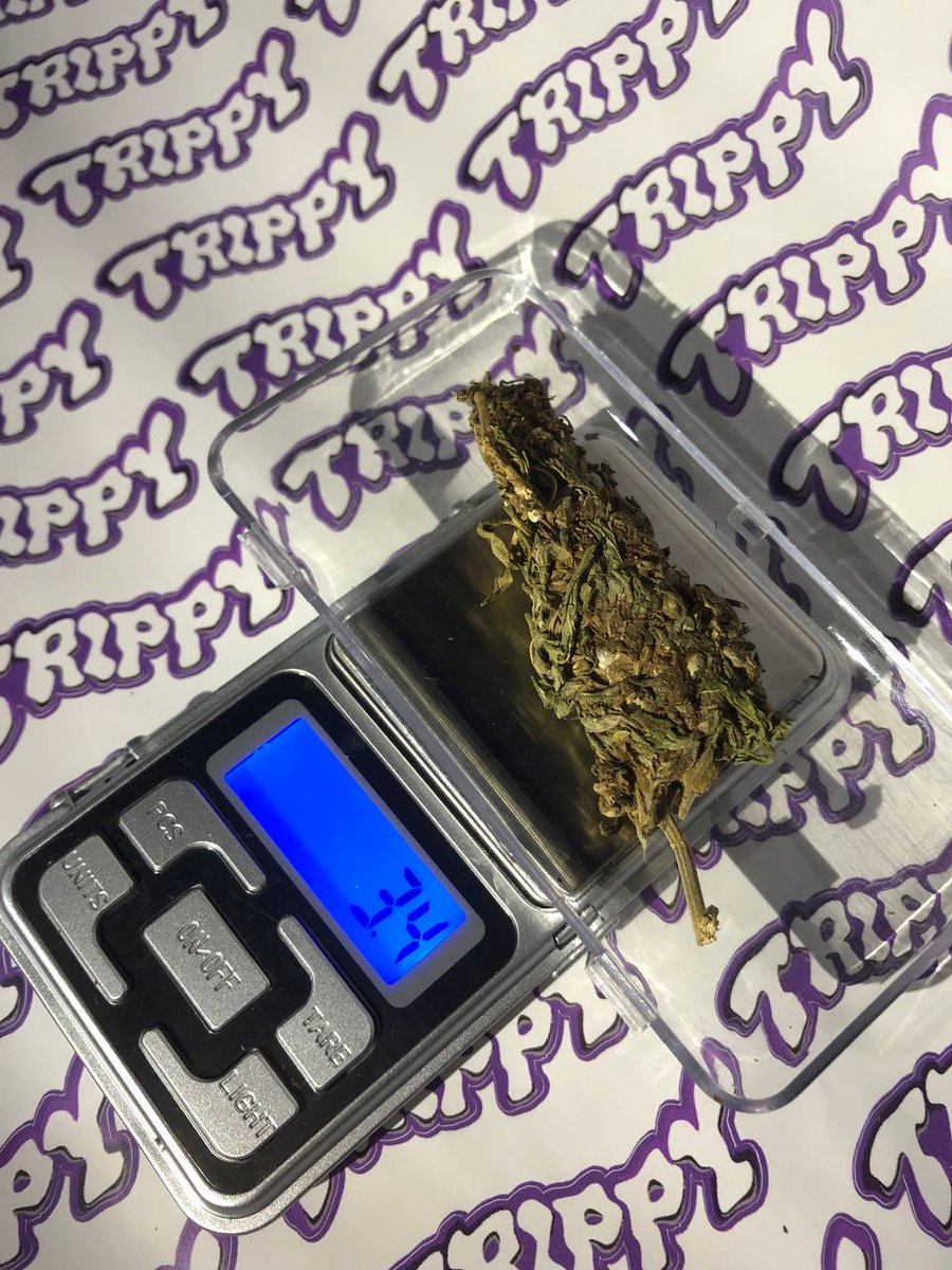 SenhorTrippy's tweet photo. VEM NA SATIVA!! ATÉ 8 REAIS O GRAMA. https://t.co/4unvHtd7LH ou 21 98132-9336 #maconha #skunk #haxixe #cannabis #matue #trapbrasil #trapbr #kunk #tricomas #sativa https://t.co/AGWqCDnh2N