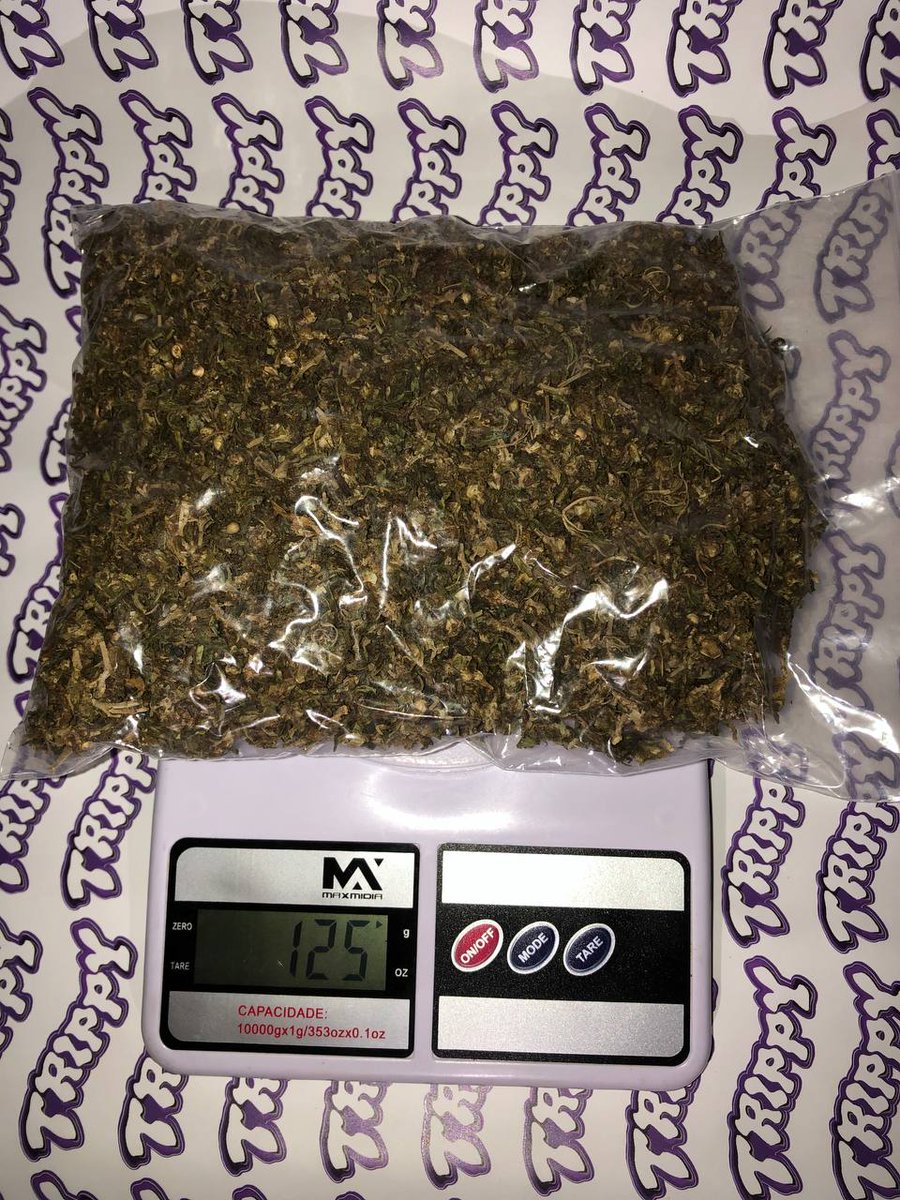 SenhorTrippy's tweet photo. VEM NA SATIVA!! ATÉ 8 REAIS O GRAMA. https://t.co/4unvHtd7LH ou 21 98132-9336 #maconha #skunk #haxixe #cannabis #matue #trapbrasil #trapbr #kunk #tricomas #sativa https://t.co/AGWqCDnh2N