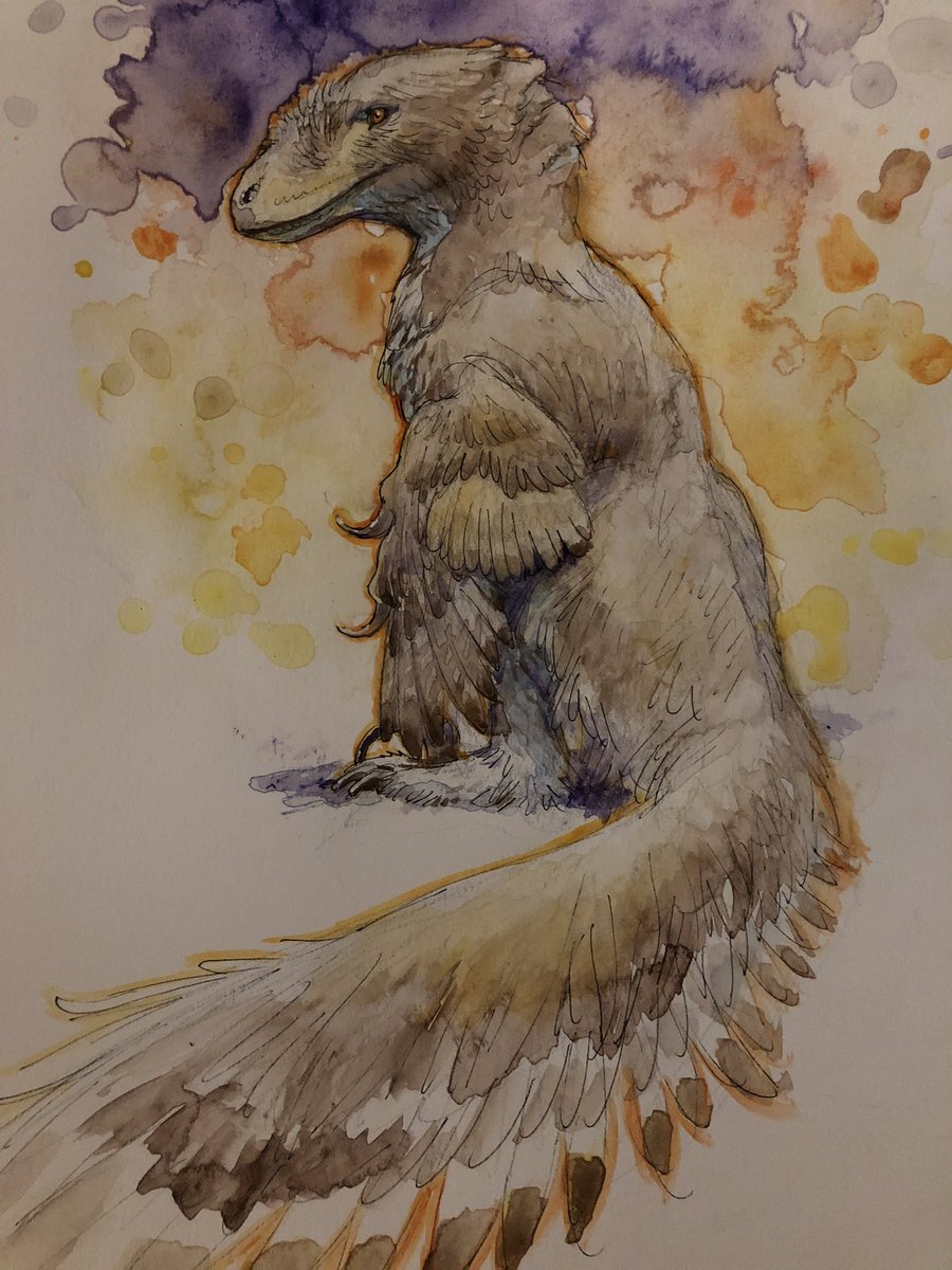 Lewis LaRosa tweet media