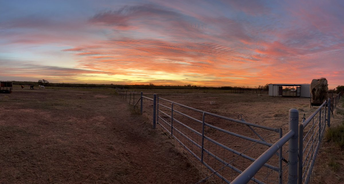 walkerdj01's tweet image. Beautiful sunrise this morning in Wichita Falls, TX