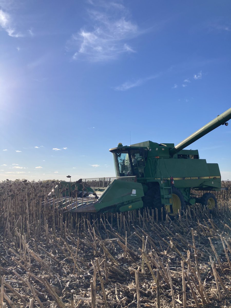 justinlehmann20's tweet photo. Great day combining sunflowers! 🌻 https://t.co/DFD7HRK0TJ