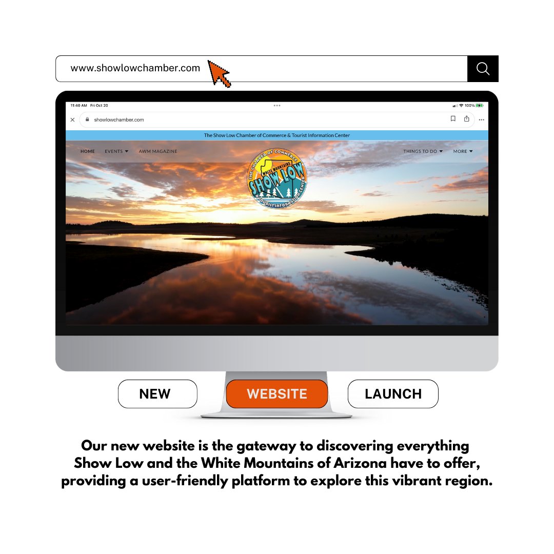 ShowLowChamber tweet media