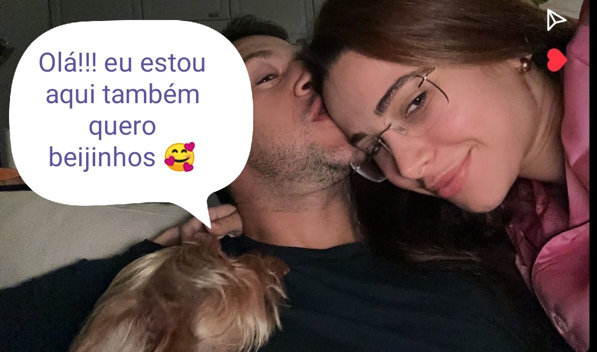 ElisabeteRoch17's tweet photo. Não resisti 🥰 @brunapgo e @bernardorsousa #cleide 🐩, sejam felizes ❤️ #BRUNARDO https://t.co/ttK5Fda9i5