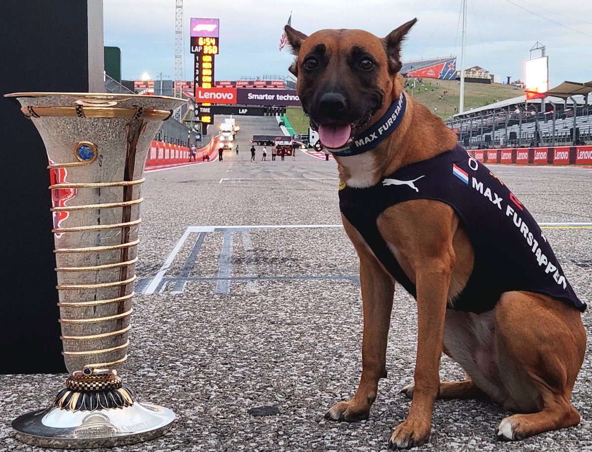 CanineStars's tweet photo. 3x Champ Max Furstappen #f1 @ESPNF1 @F1 @f1_experiences @COTA #MaxVerstappen #2theMax @Max33Verstappen @redbullracing https://t.co/xAaEJ7YCkg