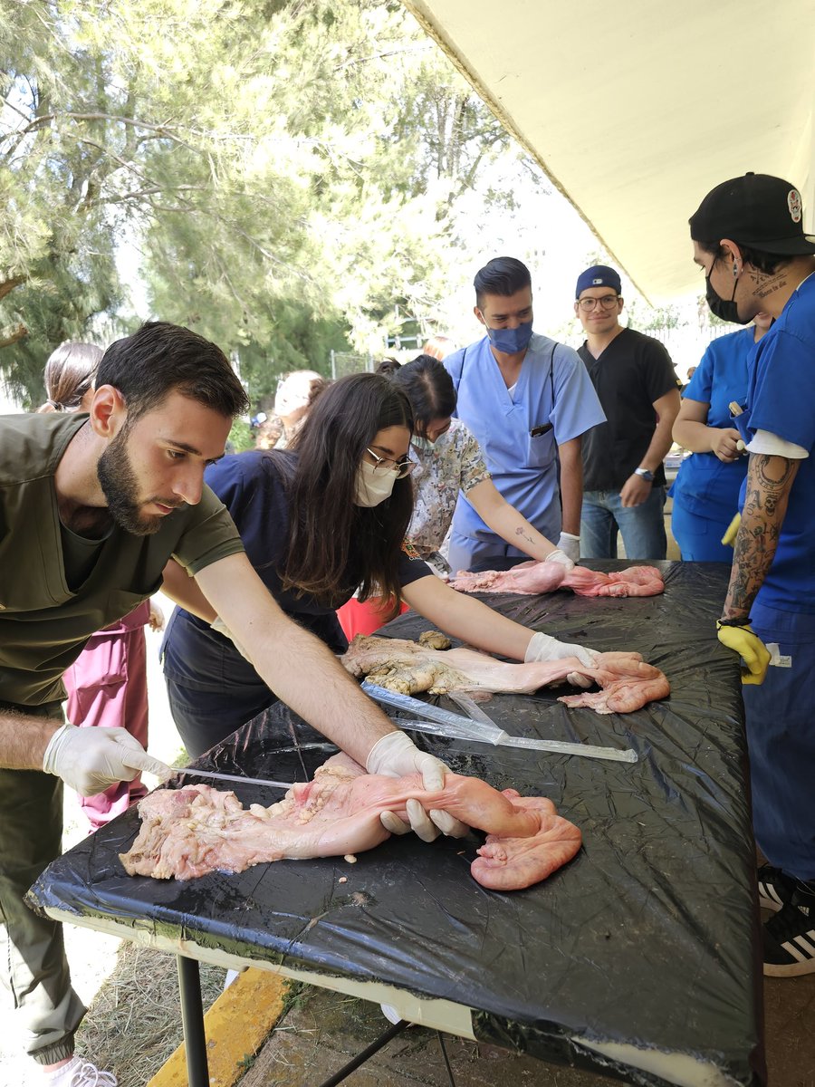 Eliab Estrada tweet media