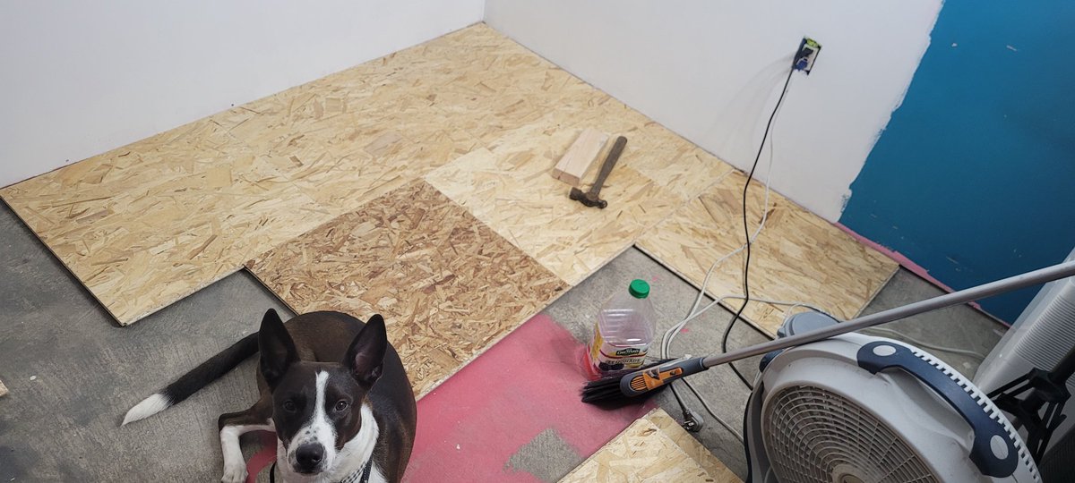 I'm getting a floor 🥰🥰🥰

These are <a href="/DRICOREProducts/">DRICORE® Products</a> subfloor panels! It elevates my floor off the cold concrete floor and creates a legitimate wood sub floor for me to place my plank flooring on 🤩