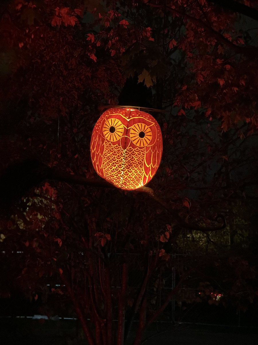 At the @tellwesterville Great Pumpkin Glow. #thewesway