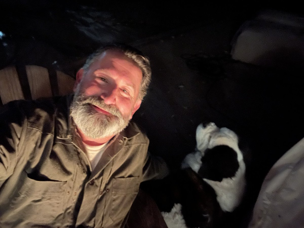 Crobb88's tweet image. A beautiful evening with the saints. #lapdogs #stbernards